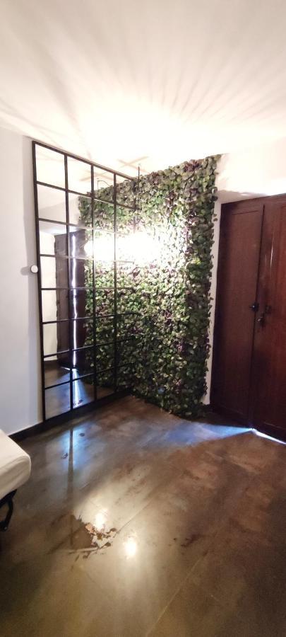 Apartament Piso Exterior Centro